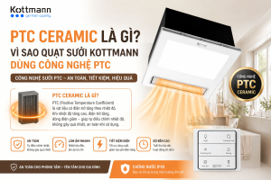 PTC ceramic là gì